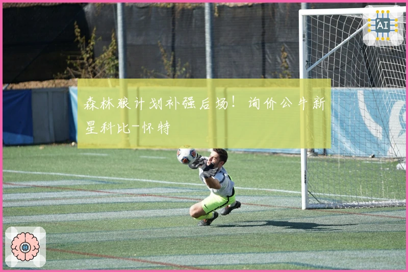 森林狼计划补强后场！询价公牛新星科比-怀特