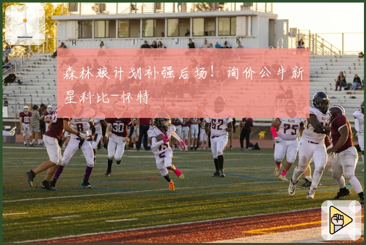 森林狼计划补强后场！询价公牛新星科比-怀特