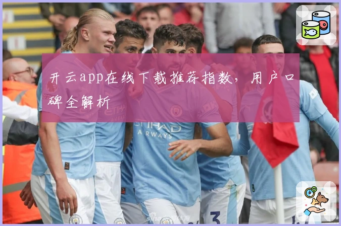 开云app在线下载推荐指数，用户口碑全解析